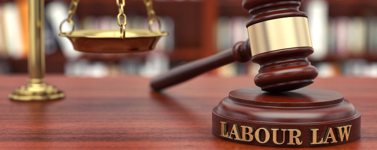 Labour Law